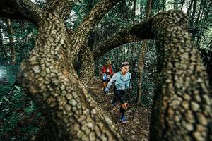 BIB: 
                            <button type="button" onclick="openModal(25392628)" class="btn btn-primary btn-sm float-right btn-popup" data-toggle="modal" data-target=".modal-high-quality">
                        <i class="fas fa-shopping-cart"></i> Add to Cart
                    </button>
                                            <button type="button" onclick="isThisMe(25392628, true)" class="btn btn-success btn-sm float-right btn-popup btn-isme hidden" data-toggle="tooltip" data-placement="bottom" title="นี่คือรูปของคุณใช่ไหม คลิกที่นี่เพื่อเอาเข้าอัลบั้ม">
                        <i class="fas fa-plus"></i> Add to album
                    </button>
                    <button type="button" onclick="isThisMe(25392628, false)" class="btn btn-warning btn-sm float-right btn-popup btn-isnotme hidden">
                        <i class="fas fa-ban"></i> Remove from album
                    </button>